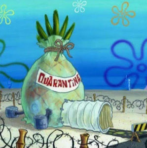 Meet your Posher, Jack